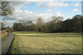 Meadow beside a brook