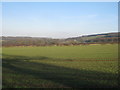 View towards Picksharp House