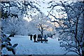 Yeovil Country Park