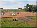 Horse paddocks near Pleasley Park