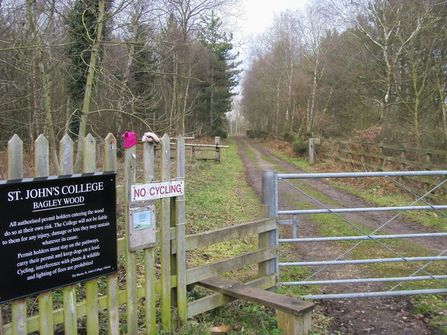 Bagley Wood © Shaun Ferguson :: Geograph Britain and Ireland