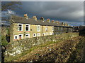 Terraced Houses on Lowther Street, Nelson