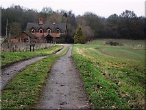 SP2559 : Wood Cottages, Hampton Wood by John Brightley