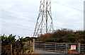 D4201 : Pylon and power lines, Ballylumford, Islandmagee (2) by Albert Bridge