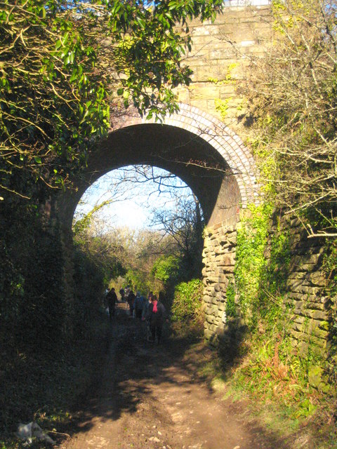 Old railway bridge at Goonbell