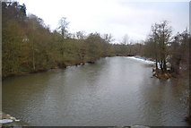 SO5074 : River Teme upstream from Dinham Bridge by N Chadwick