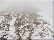 NN6040 : South ridge of Meall Corranaich by Richard Webb