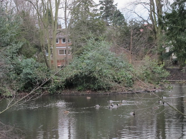 Pond, Pickhurst Lane Recreation Gardens