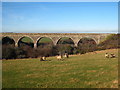 Railway viaduct on Mithian Downs