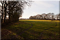 Footpath to Burridge