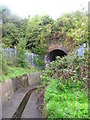 The Quaggy River east of Sidcup Road (A20)