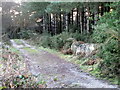 Bridleway near East Burton