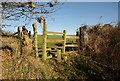 Stile by Gollands Lane