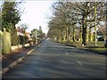 Elworth - Abbey Road