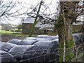 Old farm buildings, Rylands