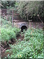 The Quaggy River aka The Chin Brook, Chinbrook Meadows (3)