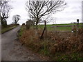 The way to Yarnhams Farm from the north