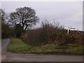 Country road near Lower Froyle