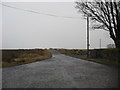 NY4682 : Road to Whisgills near Under Burnmouth by James Denham