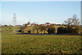 Sheep grazing land below Salesbury