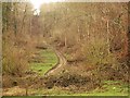 SO9009 : Track up valley side, Famish Hill by Derek Harper