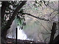 Lake south of the A232 west of Farnborough Common