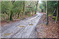 Castle Hill Lane, Burley