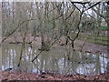 Lake east of Westerham Road