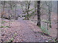 Footpath crossing Hurstclough Brook