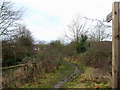 Daws Heath Bridleway