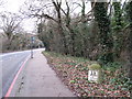 The A21 northwest of Locksbottom