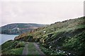 Coastal Path near Pendeen Lighthouse