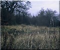 Site of Wood Siding Station, Bucks