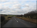 Country road heading towards Frogden Farm