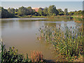 Pond at Brierley Forest Park