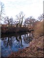 The River Wharfe