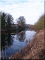 The River Wharfe