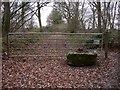 Bridle gate in Collins Copse