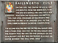 SD8901 : Failsworth Pole (detail) by David Dixon