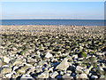 Cobble beach