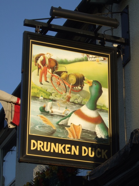Pub Sign For The Drunken Duck C John M Geograph Britain And Ireland