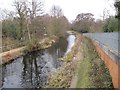 SU9557 : Basingstoke canal by Bill Nicholls