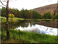 Curling pond, Acharn