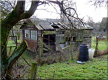 SJ8179 : Shed on its last legs at Ivy House Farm, Mobberley by Anthony O'Neil