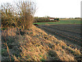 Field beside East Harling Road