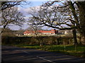 Stud farm at Kirdford seen from Hayling Green