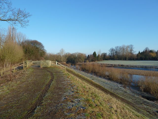 River Tees Levee, Croft on Tees © Paul Buckingham :: Geograph Britain ...