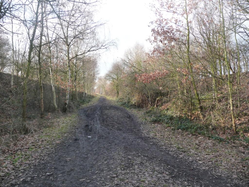 Cycleway On Old Railway Line, West Of... © Christine Johnstone ...