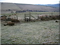 Footpath on Saddle Cote towards Moss Brook