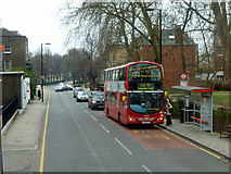 TQ3185 : Aberdeen Park bus stop, Highbury Grove by Robin Webster